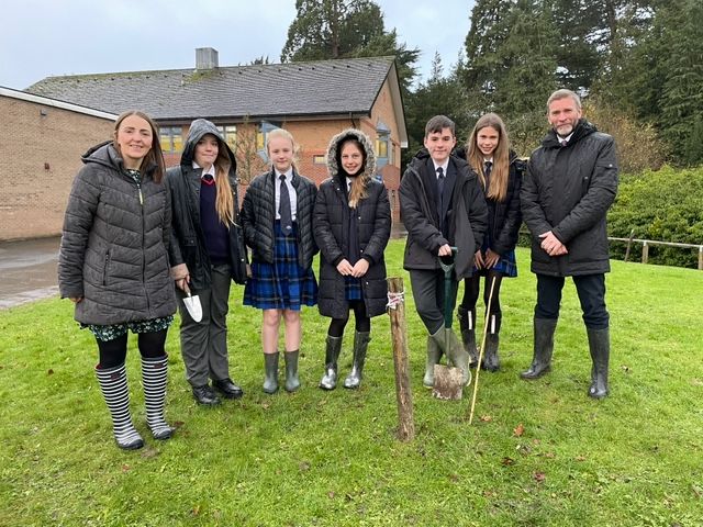 Image of Plant a Tree for the Jubilee