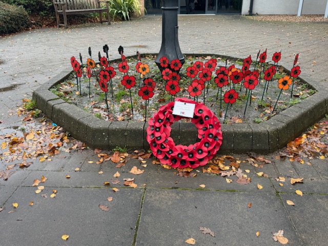 Image of Remembrance Day