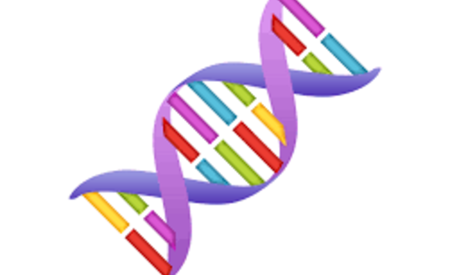 Image of Creating DNA models