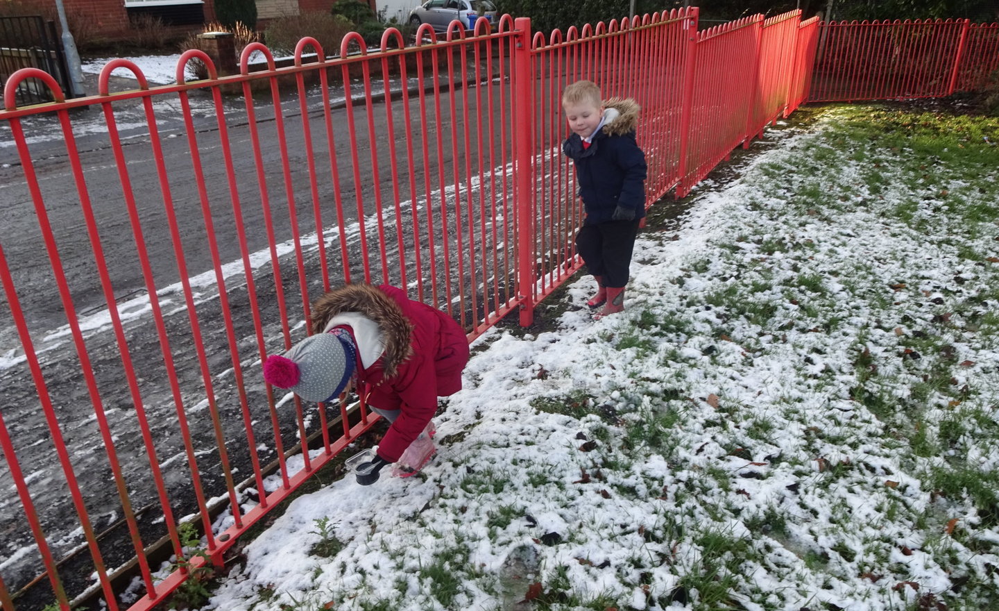 Image of Fun in the snow