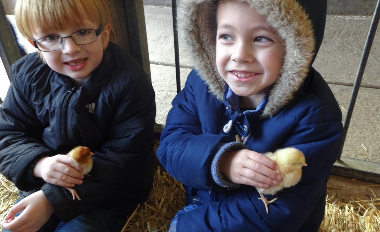 Image of Reception Class go to Smithills Farm