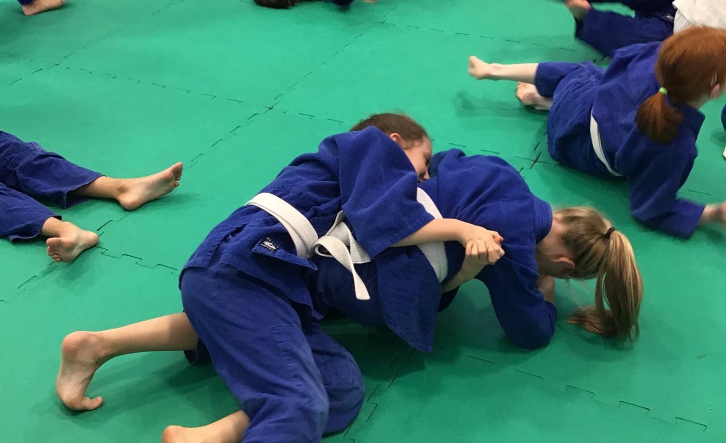 Image of Year 4 and 5 Judo Lessons