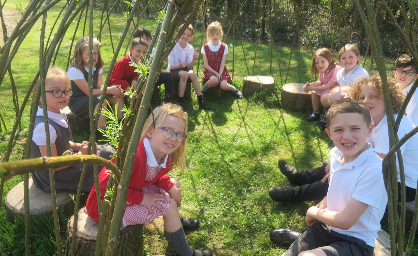 Image of Willow Story Telling Domes