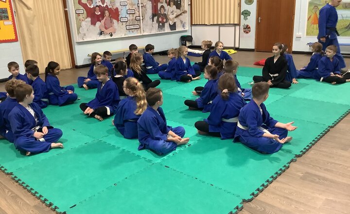 Image of Year 5 and 6 Judo 