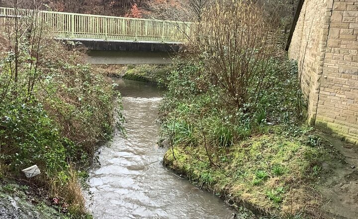 Image of Year 3 & 4 River Walk