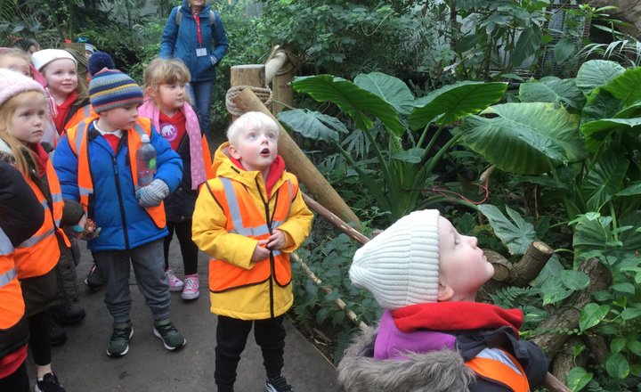 Image of Chester Zoo Trip! 