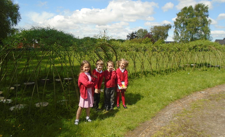 Image of Willow Storytelling Domes