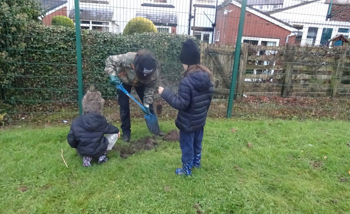 Image of Tree Planting