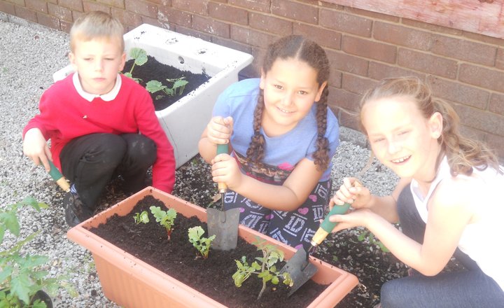 Image of Gardening Club Summer Term 2015