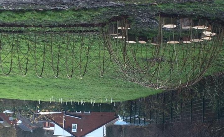 Image of Willow Story Telling Domes