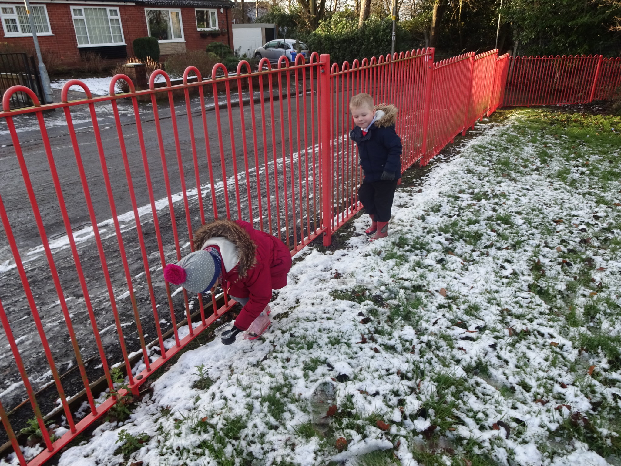 Image of Fun in the snow