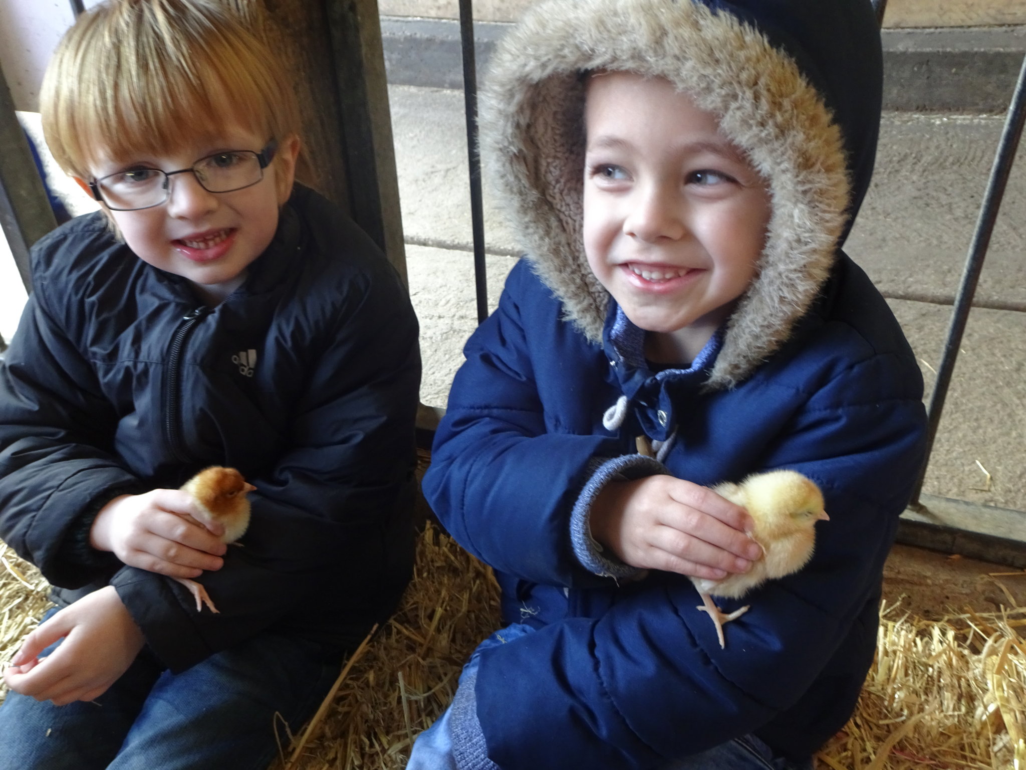 Image of Reception Class go to Smithills Farm