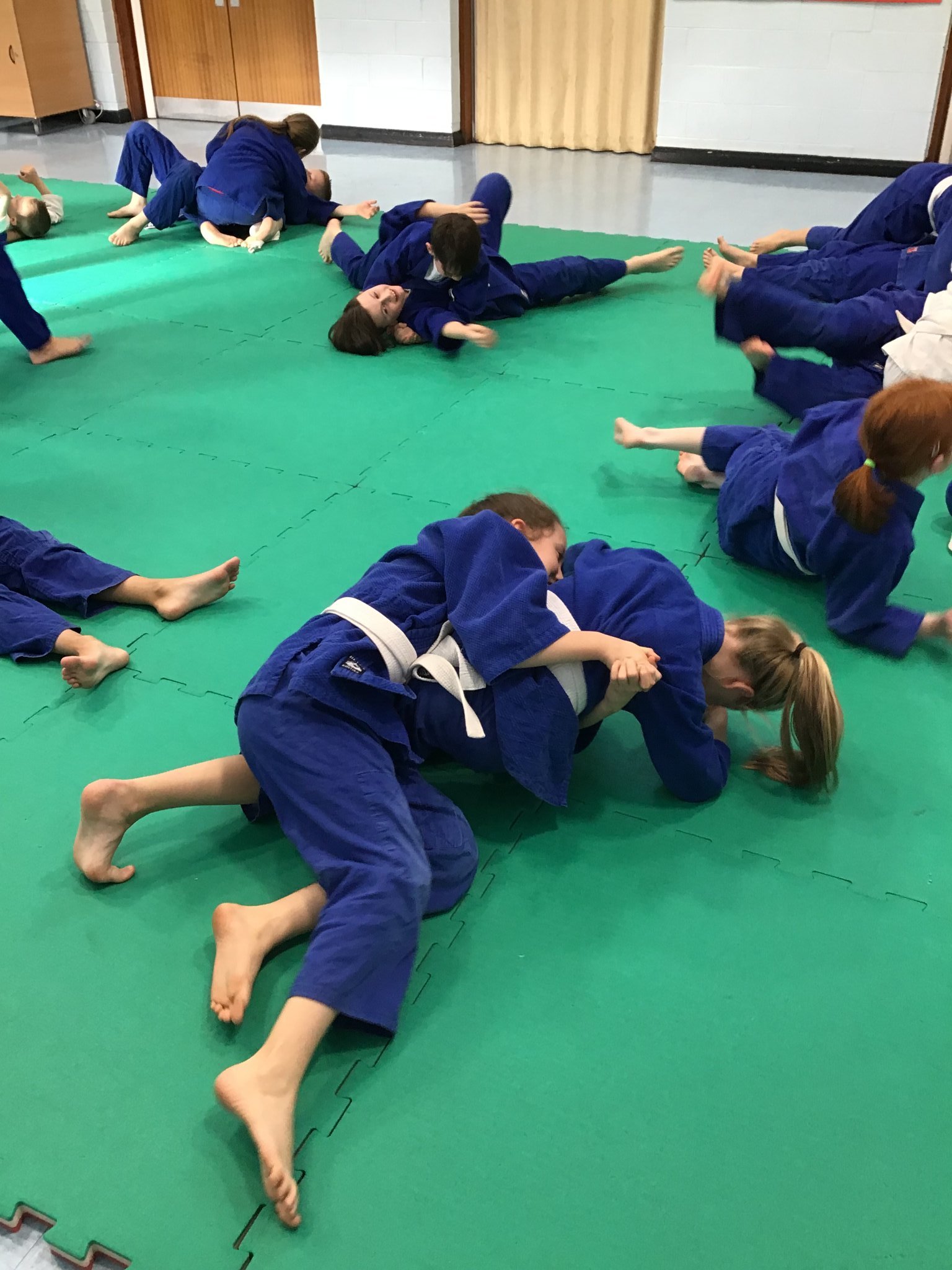 Image of Year 4 and 5 Judo Lessons