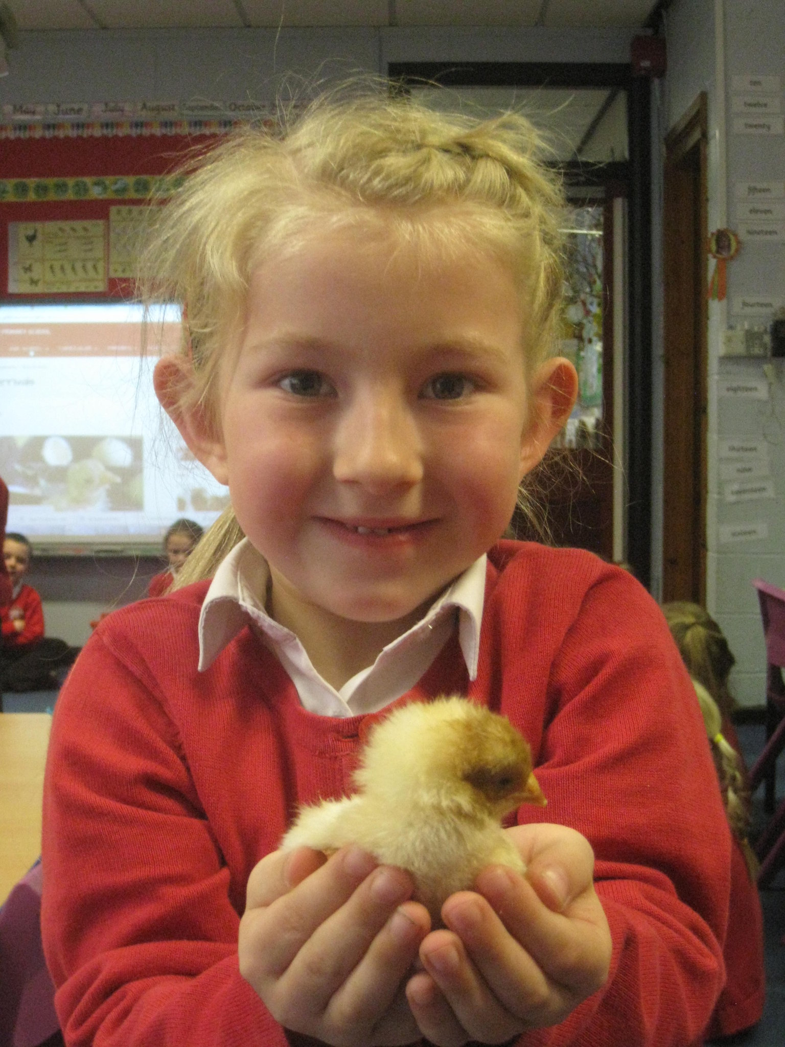 Image of Year 1 say goodbye to their chickens!