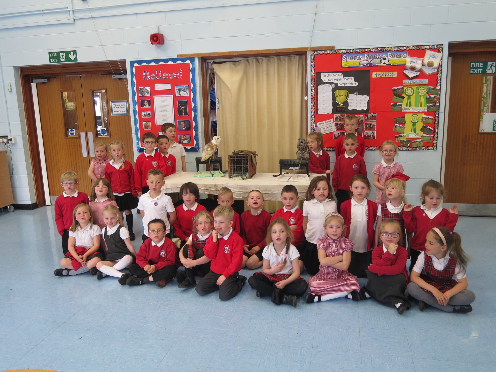 Image of Year 1 having a hoot ... with some owls!!