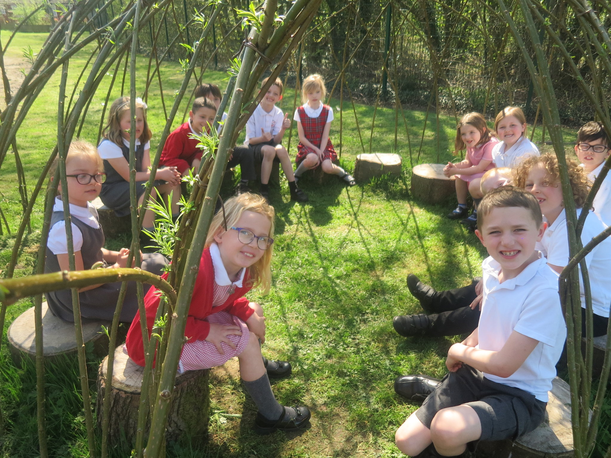 Image of Willow Story Telling Domes