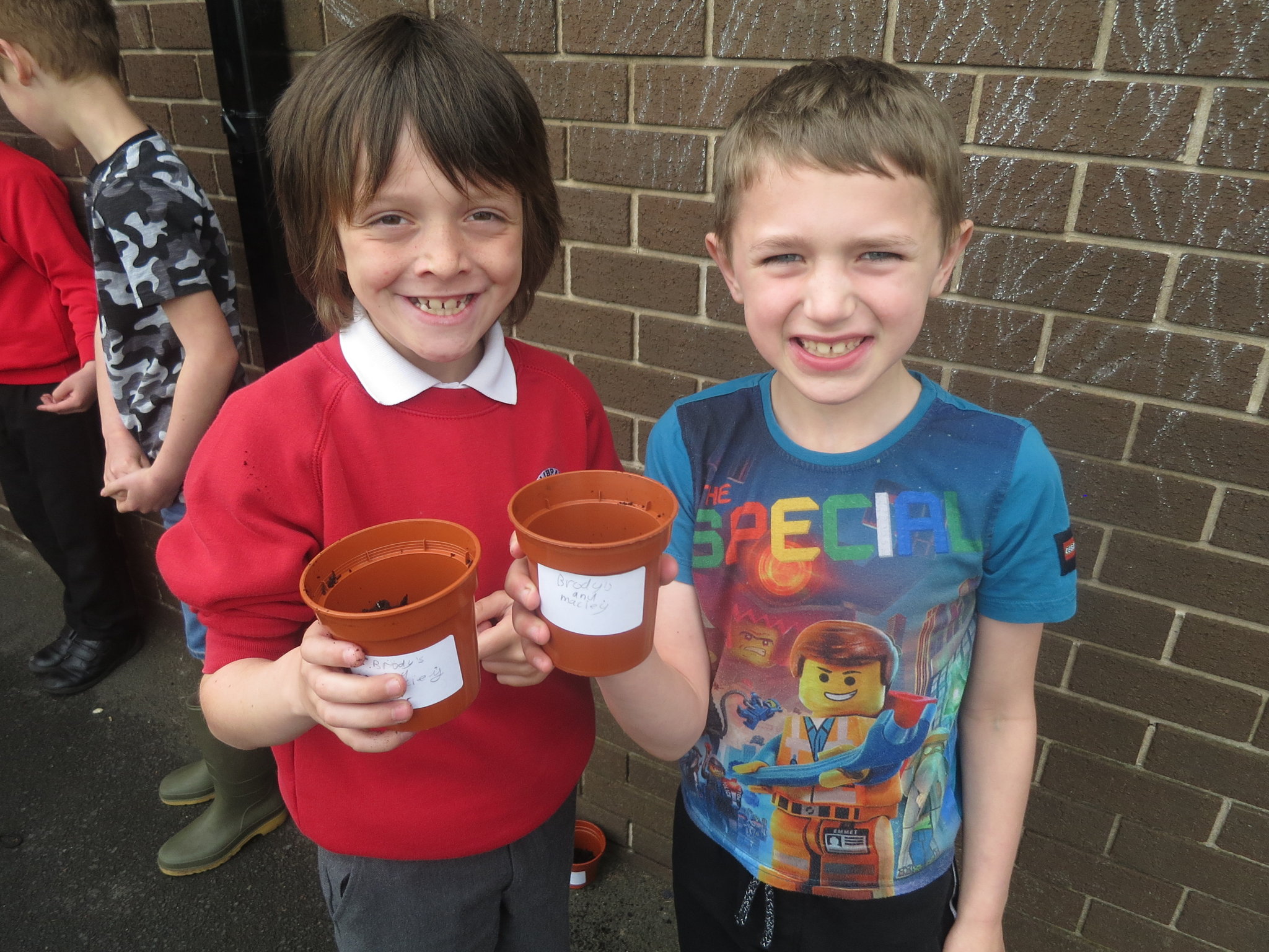 Image of Investigating plants! 