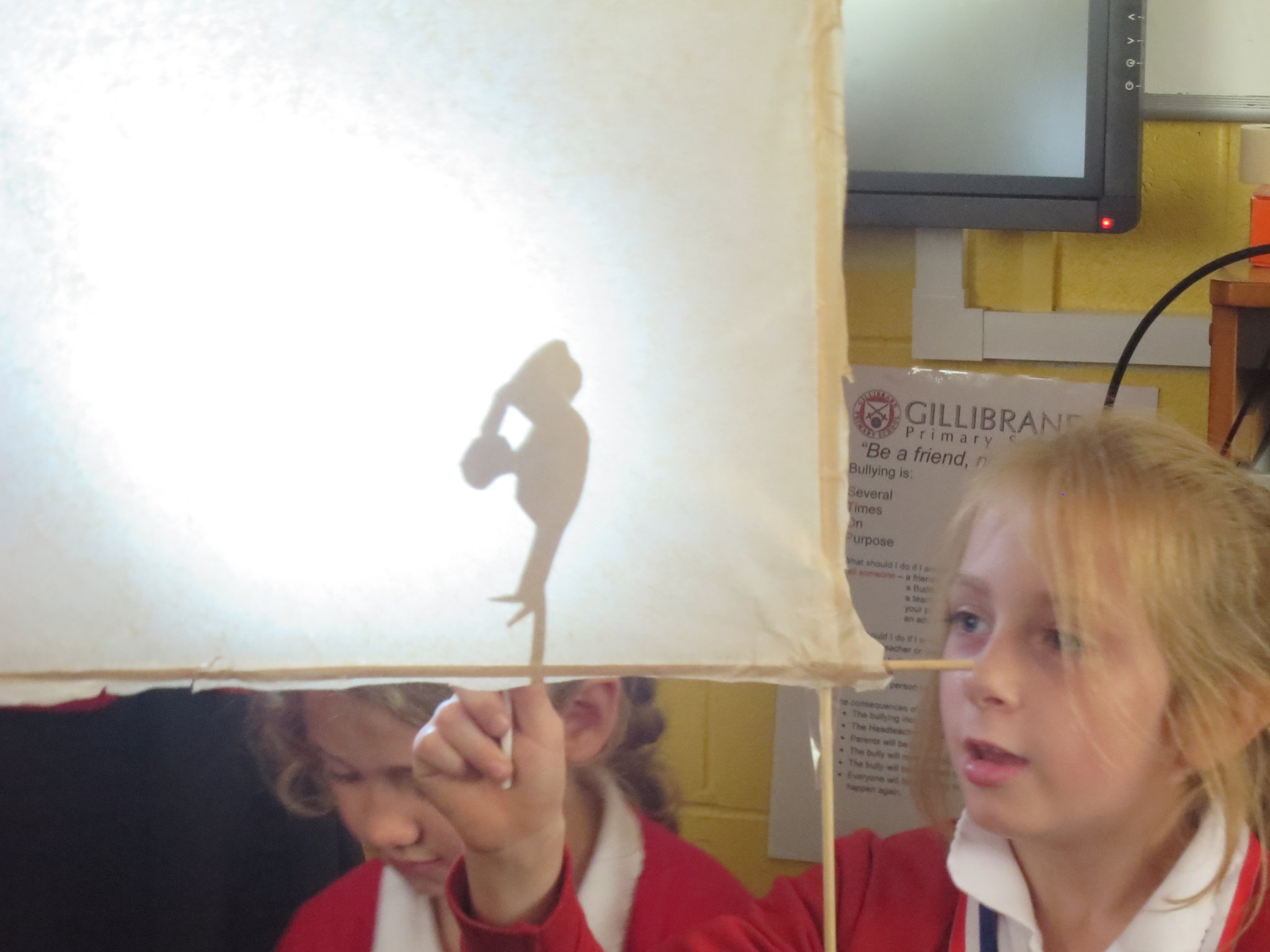 Image of Shadow Puppets! 