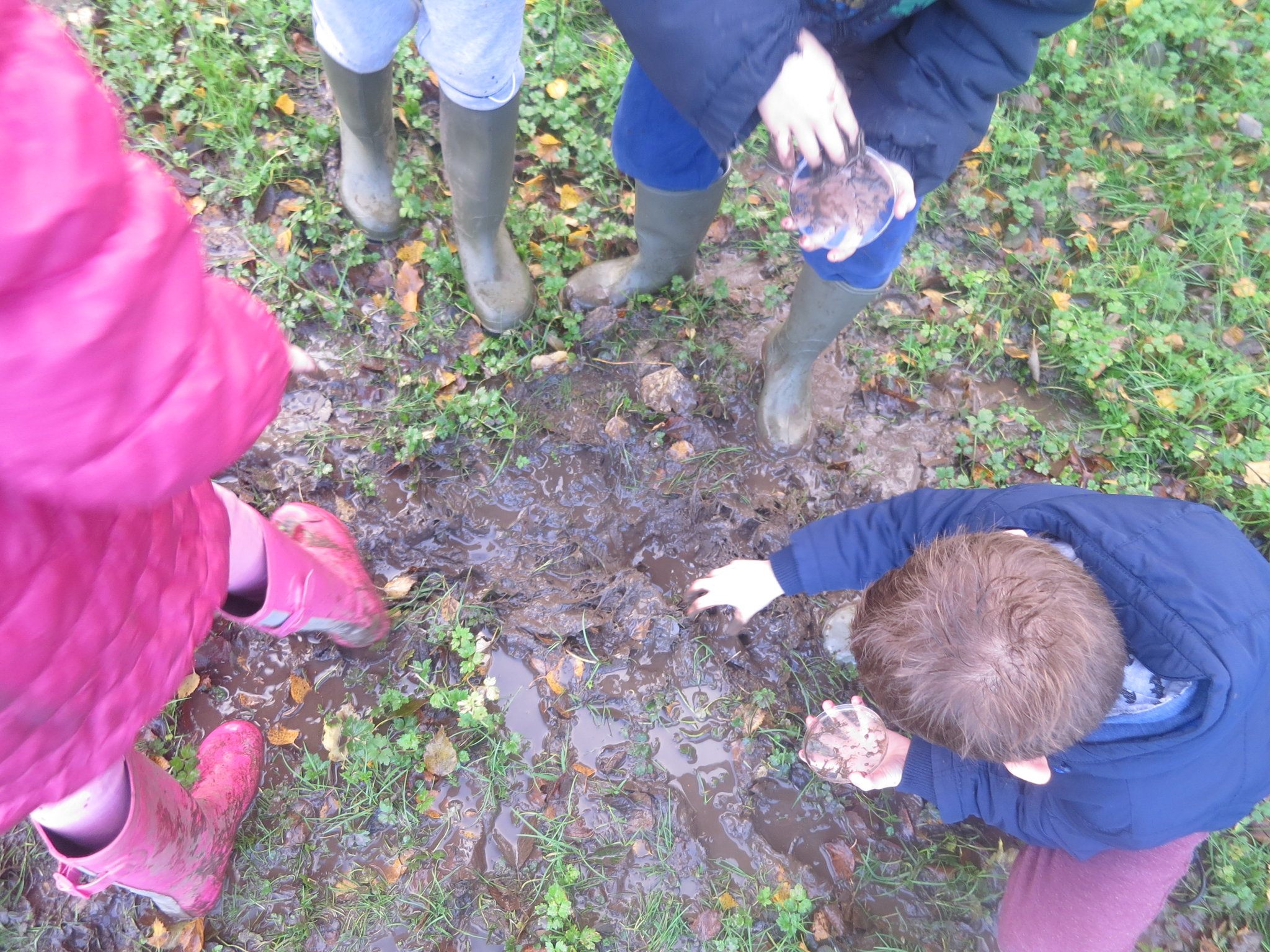 Image of Soil Samples! 