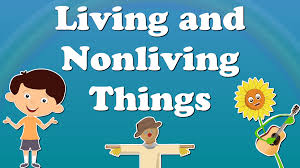 Image of Living and Non living 