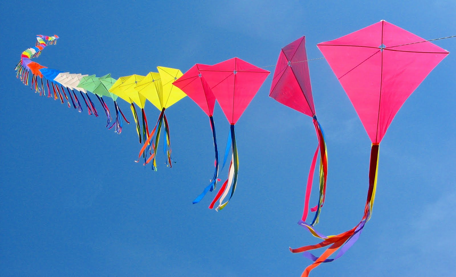 Image of Let's go Fly a Kite. 