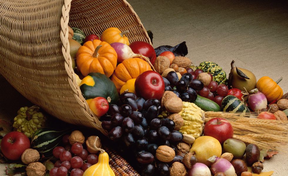 Image of Harvest