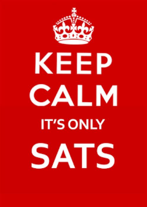 Image of Year 6 SATs Week