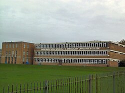 Image of Year 5 Primary Sports Day at Parklands 