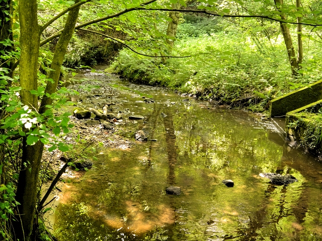 Image of Year 3 River walk