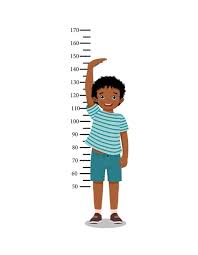 Image of Reception/Year 6 Height and Weight Checks