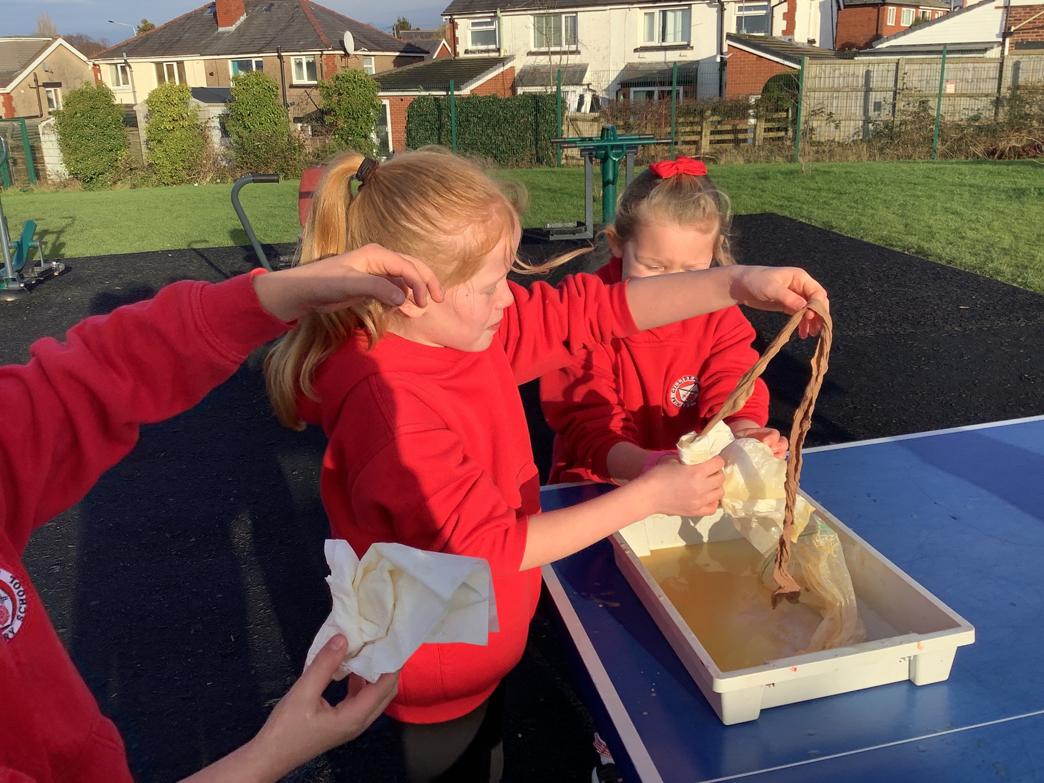 Image of Year 4 investigation of the digestive system