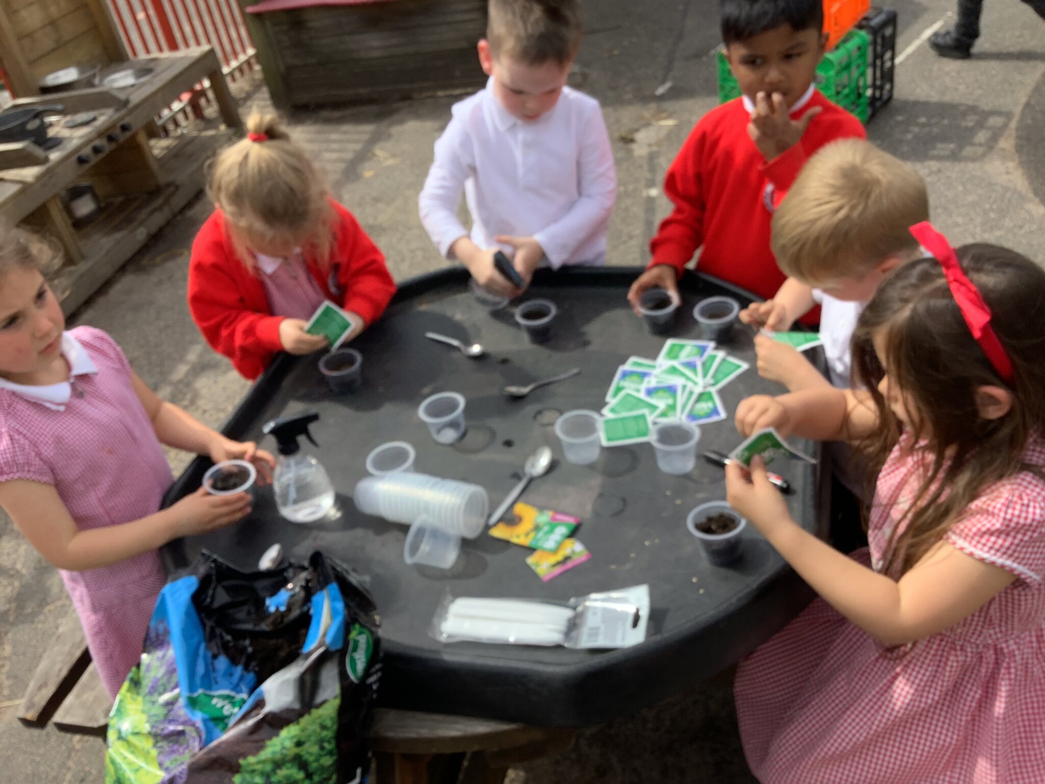 Image of Reception class explore the plant life cycle