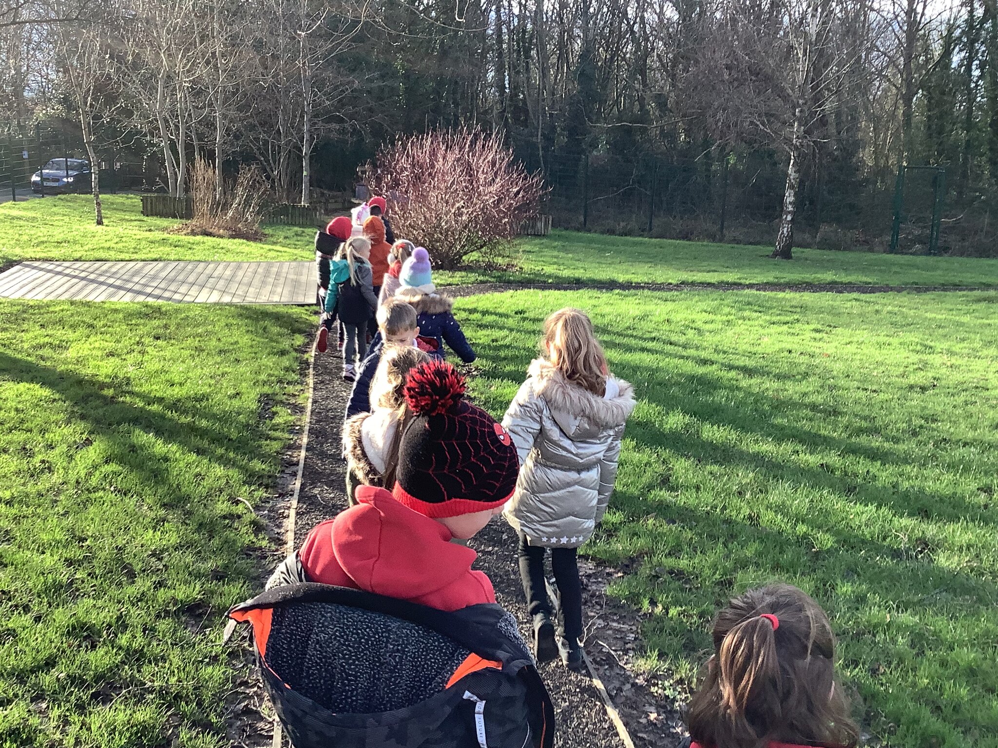 Image of Year 1 Nature Journey Sticks