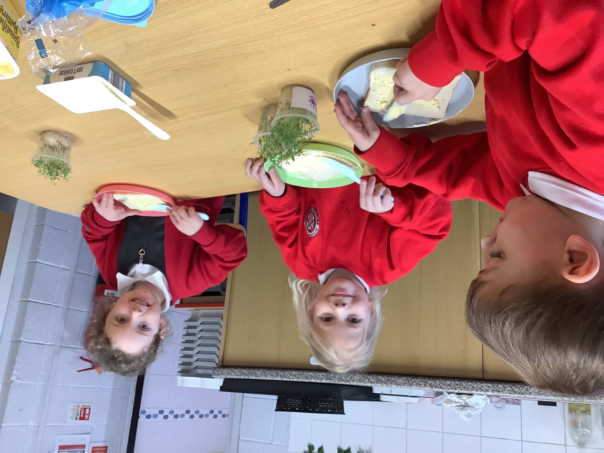 Image of From Seed to Sandwich: Reception's Cress Adventure!