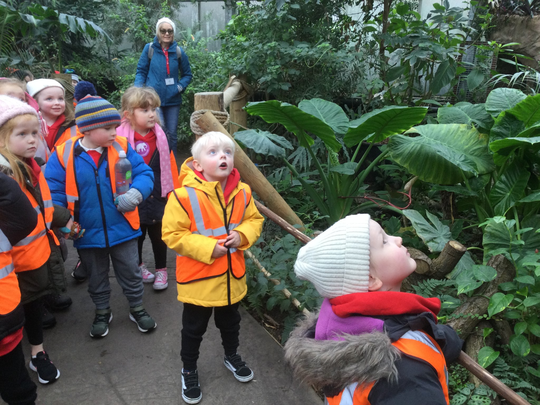 Image of Chester Zoo Trip! 