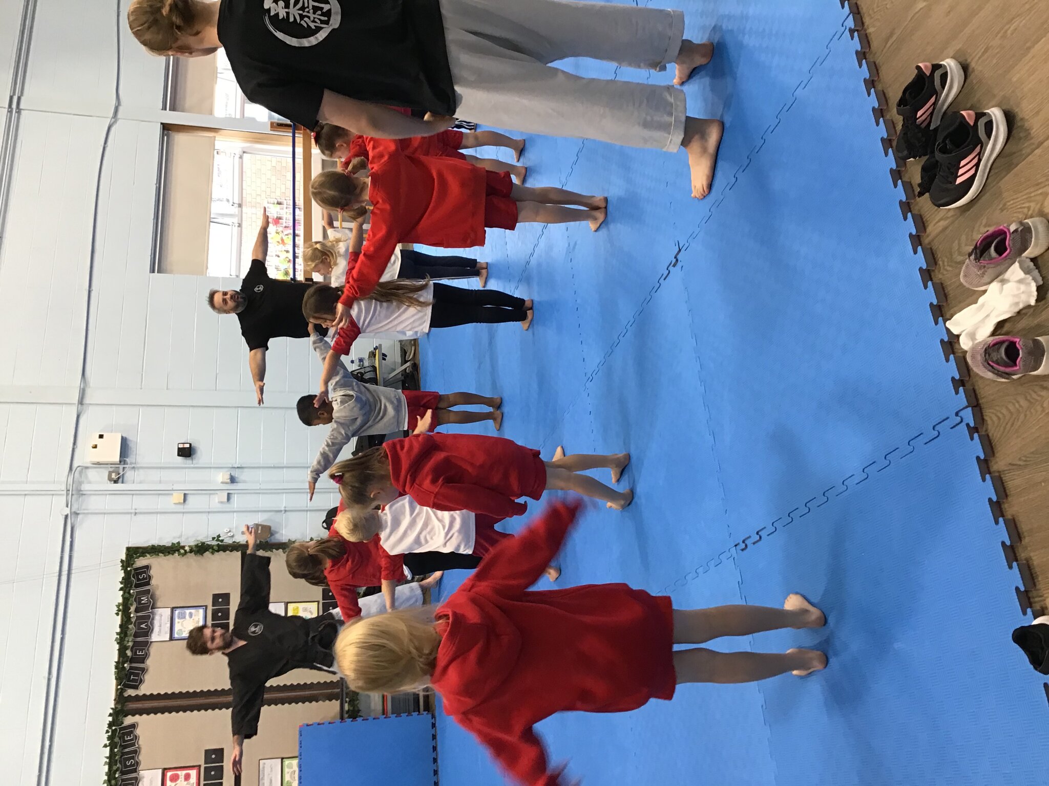 Image of Shinpo Martial Arts Taster Day