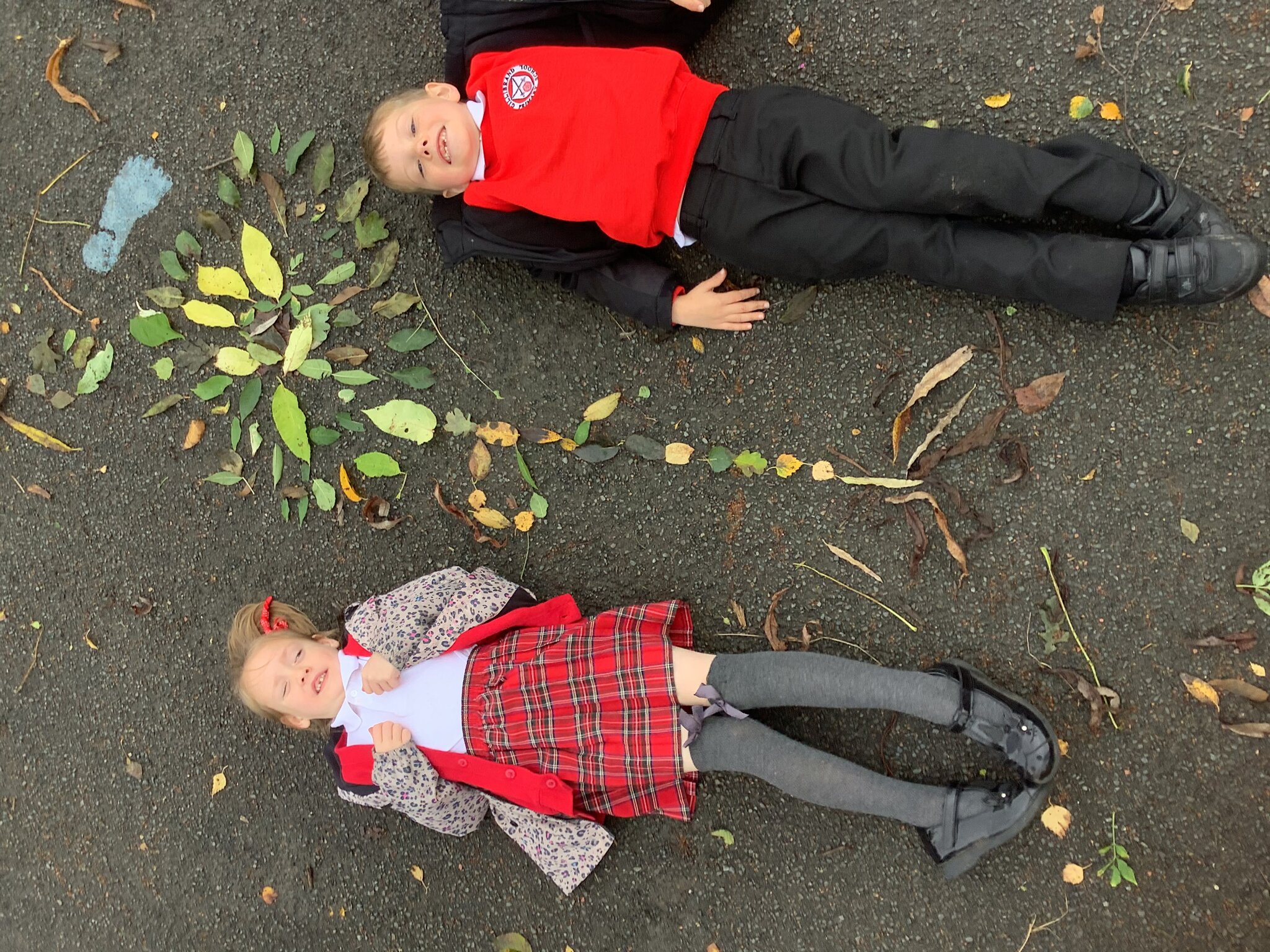 Image of Year 2 Andy Goldsworthy Art