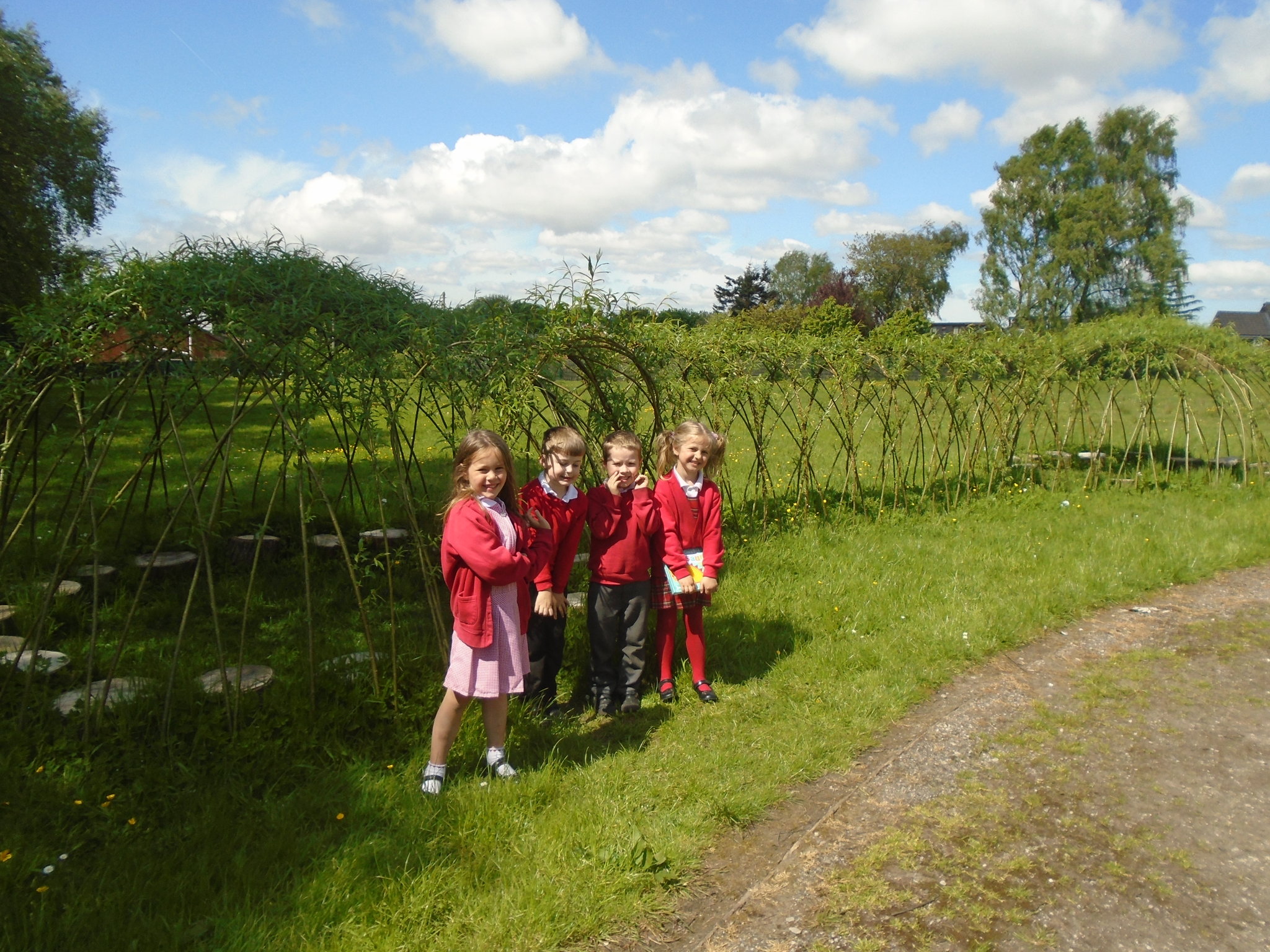 Image of Willow Storytelling Domes