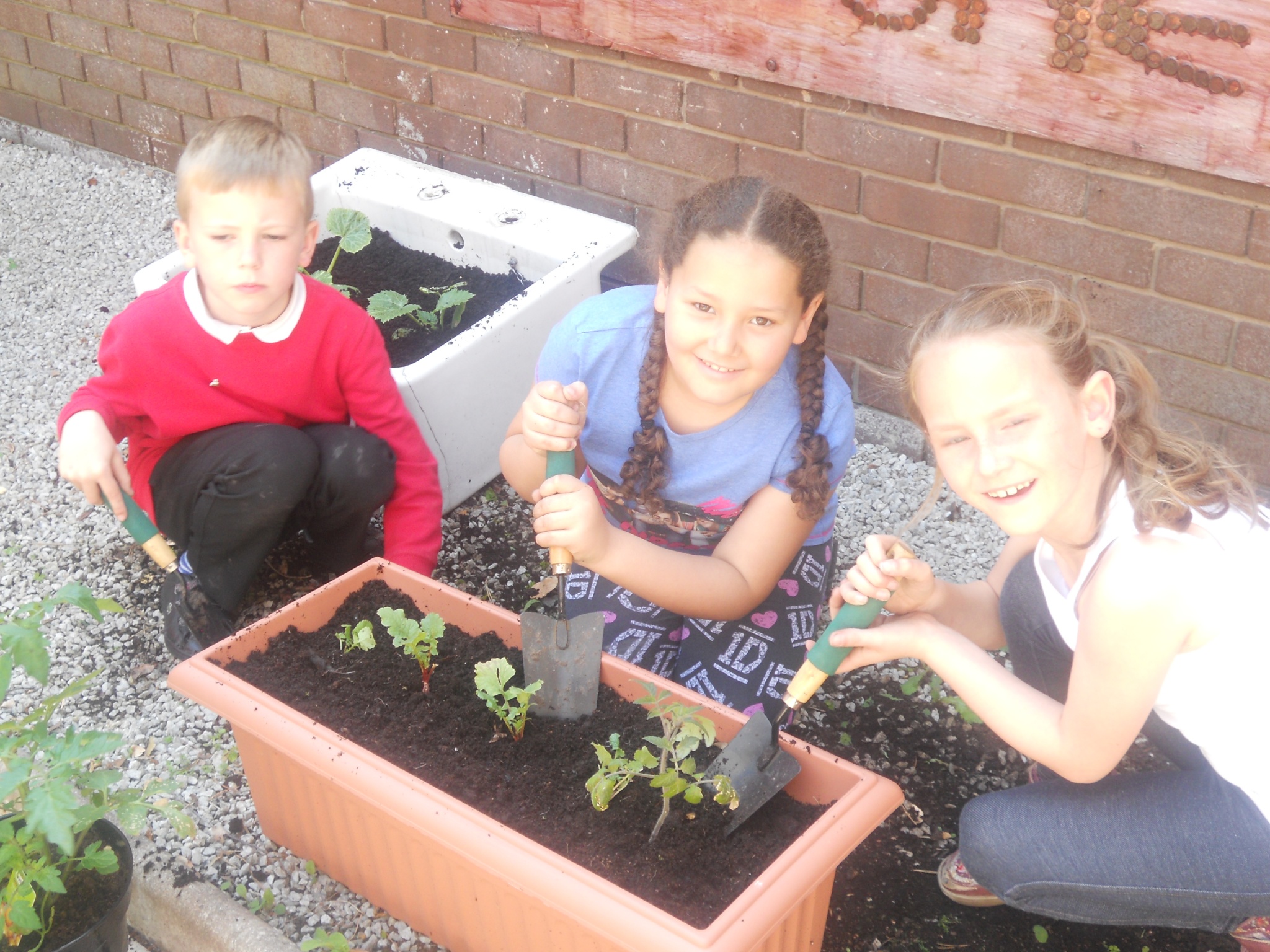 Image of Gardening Club Summer Term 2015