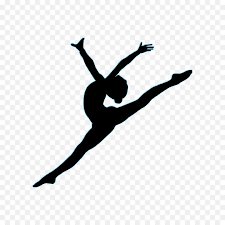 Image of Dance and gymnastics club