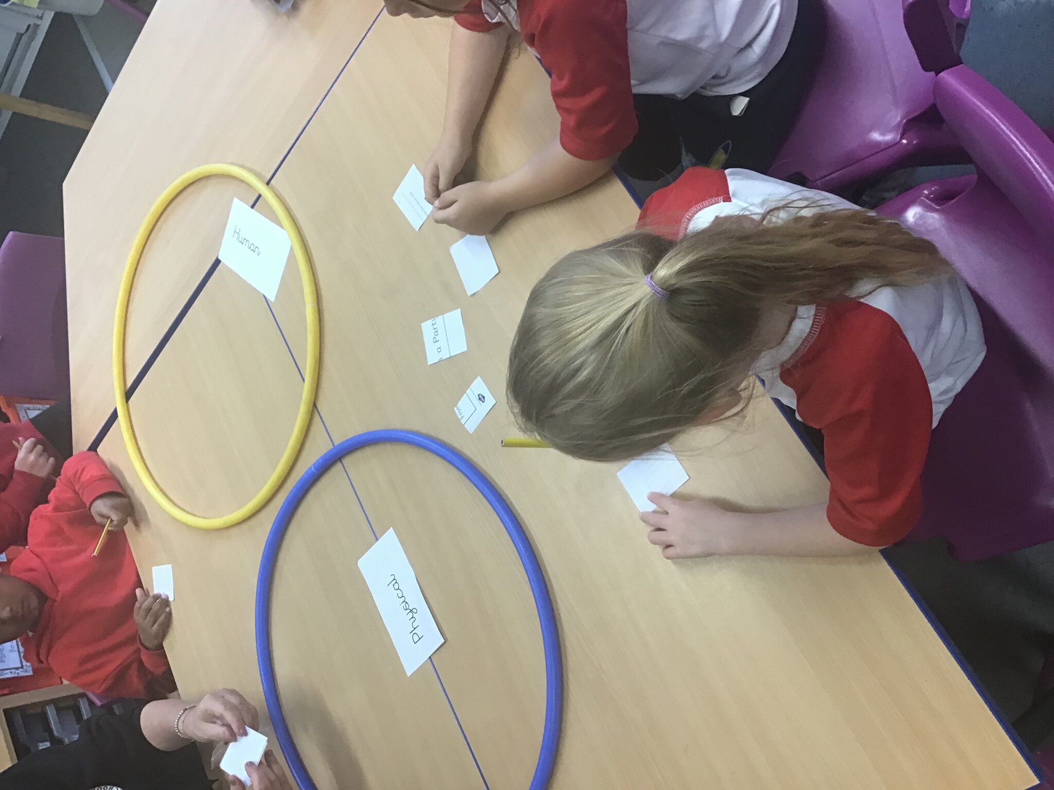 Image of Year 1's Fantastic Geography