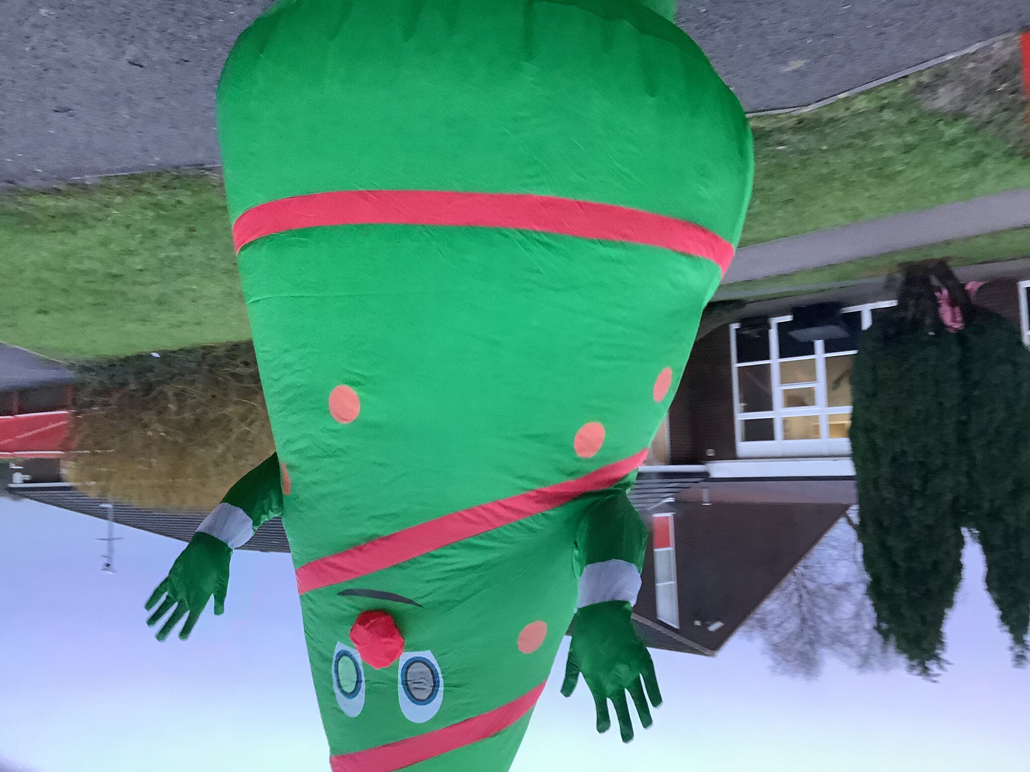 Image of Ctristmas Tree Greetings