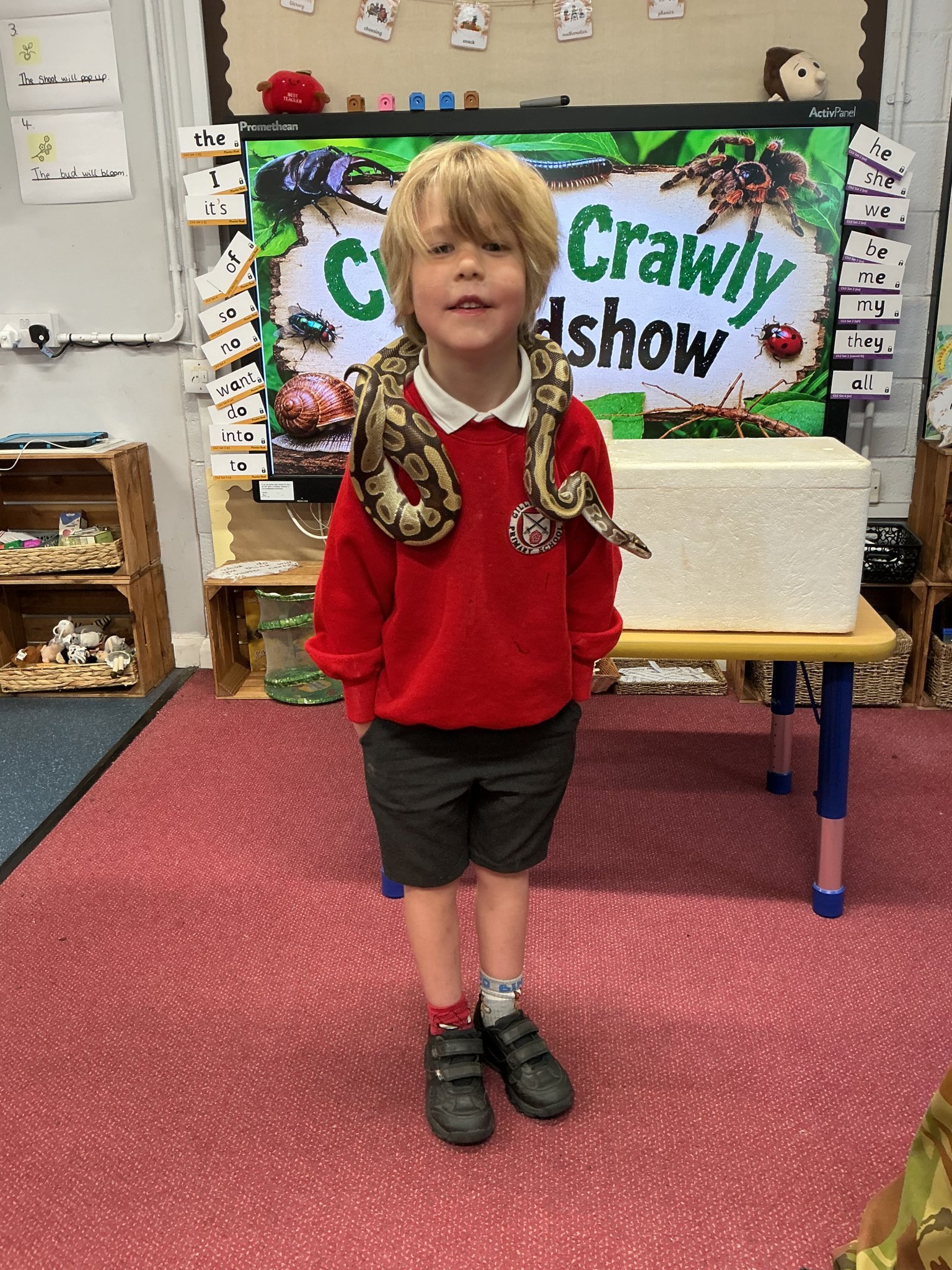 Image of The Creepy Crawly Roadshow visits Reception