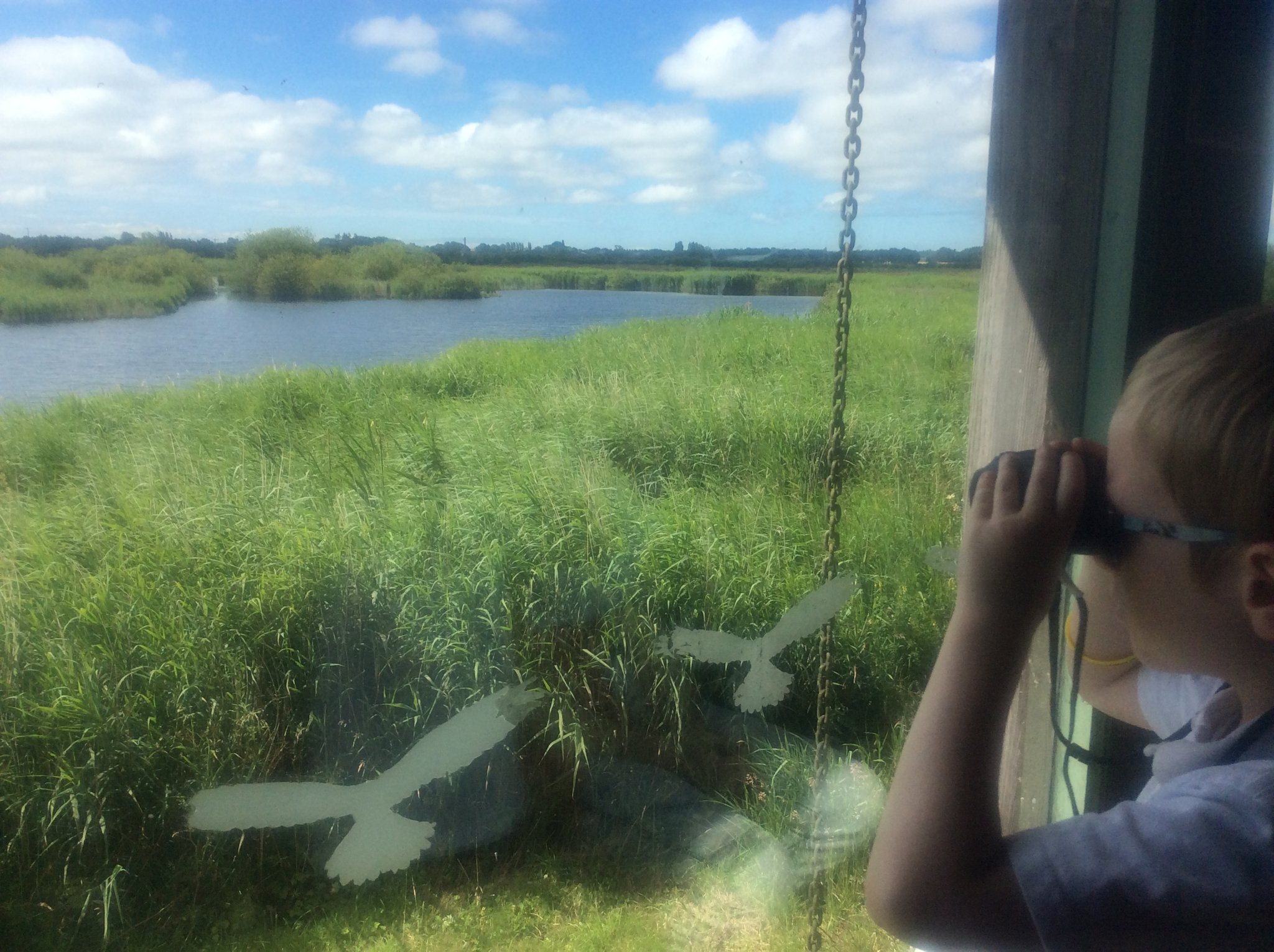 Image of Key Stage Two trip to Martin Mere 