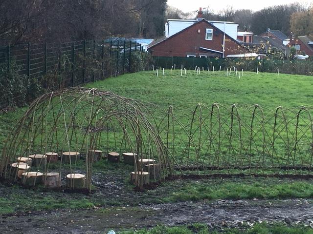 Image of Willow Story Telling Domes