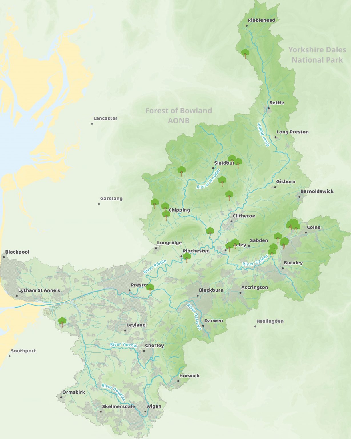 Image of River Ribble Workshop 2025