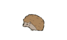 Hedgehog