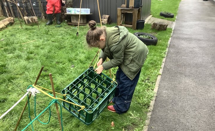 Image of Forest School November 2025