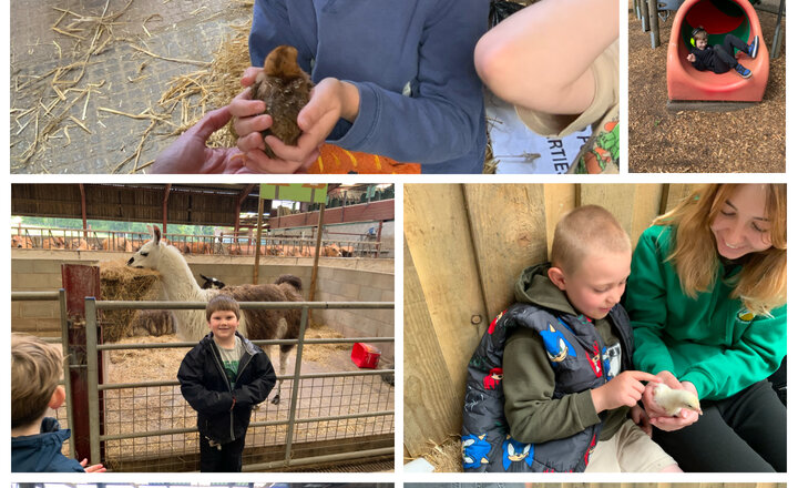 Image of Eagles go to Smithills Farm