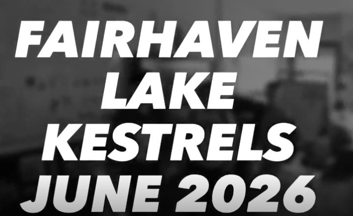 Image of Kestrels visit to Fairhaven Lake - Summer 2026